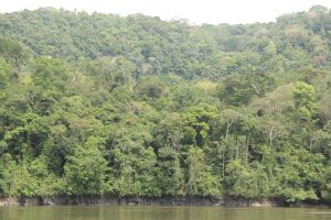 Povos Karib-Guianenses do Norte do Pará