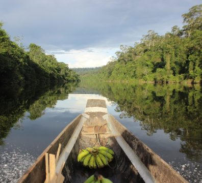 canoa na amazônia