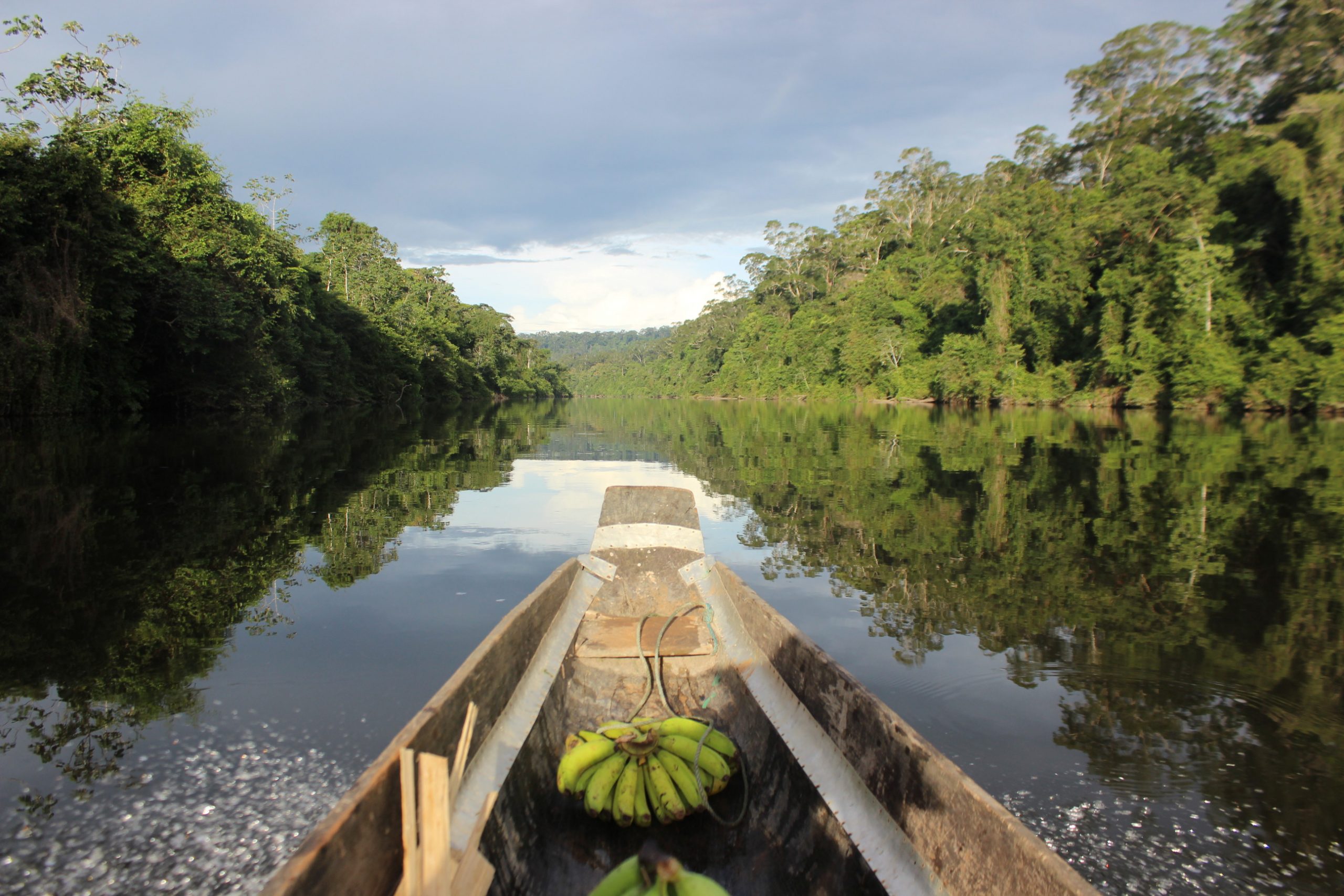 canoa na amazônia