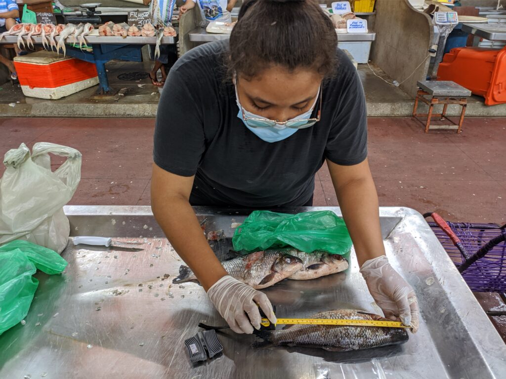 pesquisadora analisa peixe contaminado por mercúrio