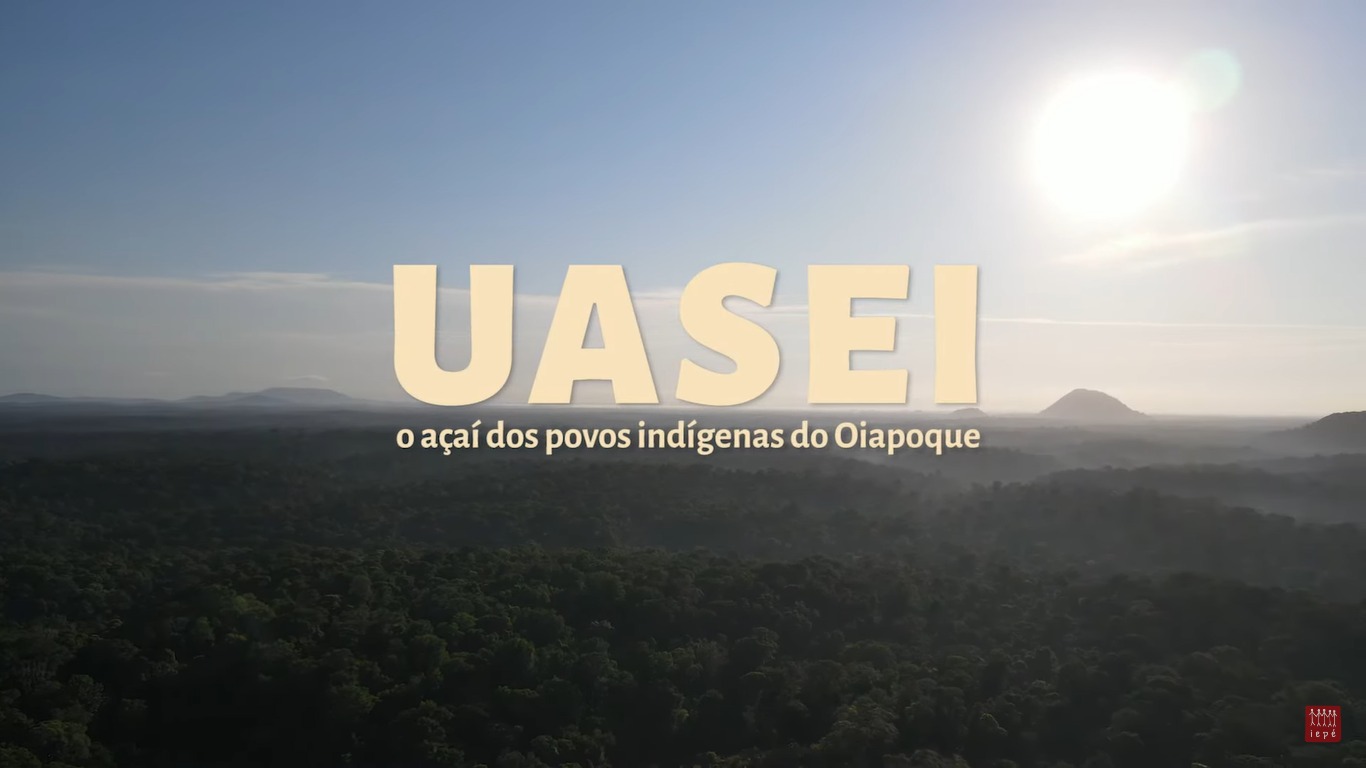 UASEI - o açaí dos povos indígenas do Oiapoque