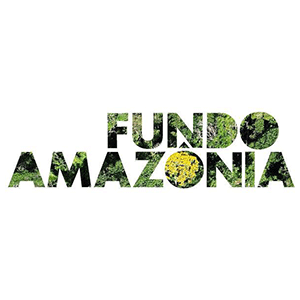 Fundo amazônia