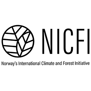 Iniciativa Norueguesa de Clima e Florestas Internacionais