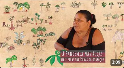 Pandemia nas Roças: Relato da Dona Dalila